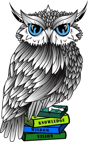 MystiC Accounting owl logo